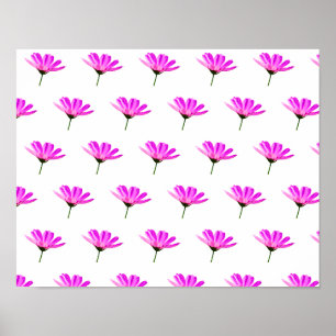 Poster Margarida Rosa