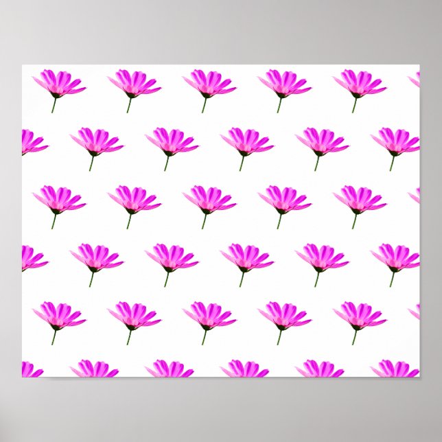 Poster Margarida Rosa   (Frente)