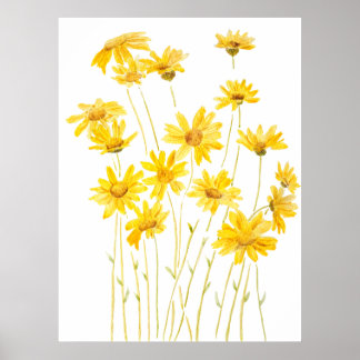 Poster margaridas amarelas na floração