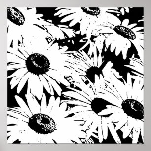 Poster Margaridas de Black&White