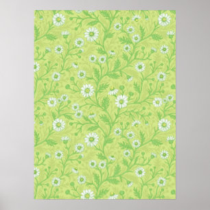 Poster Margaridas em branco e verde sobre verde melancia