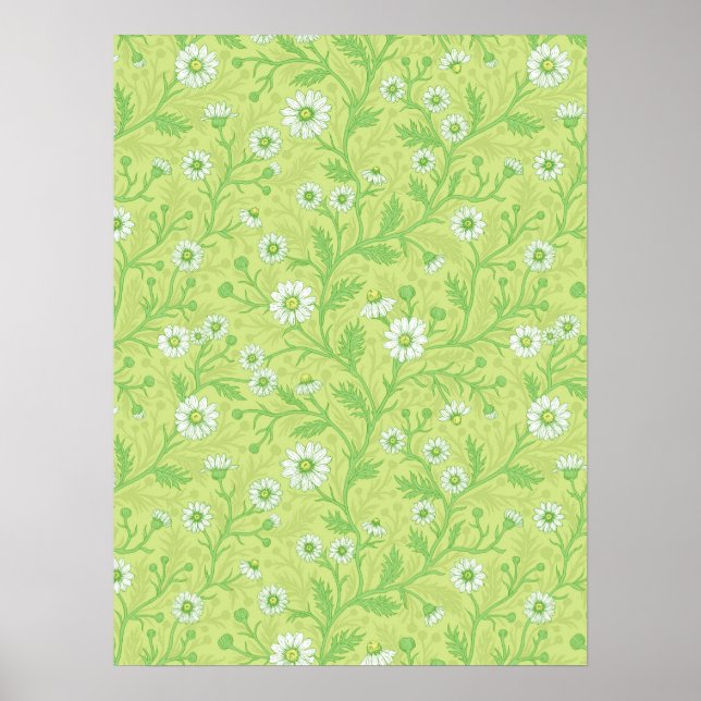 Poster Margaridas em branco e verde sobre verde melancia (Frente)