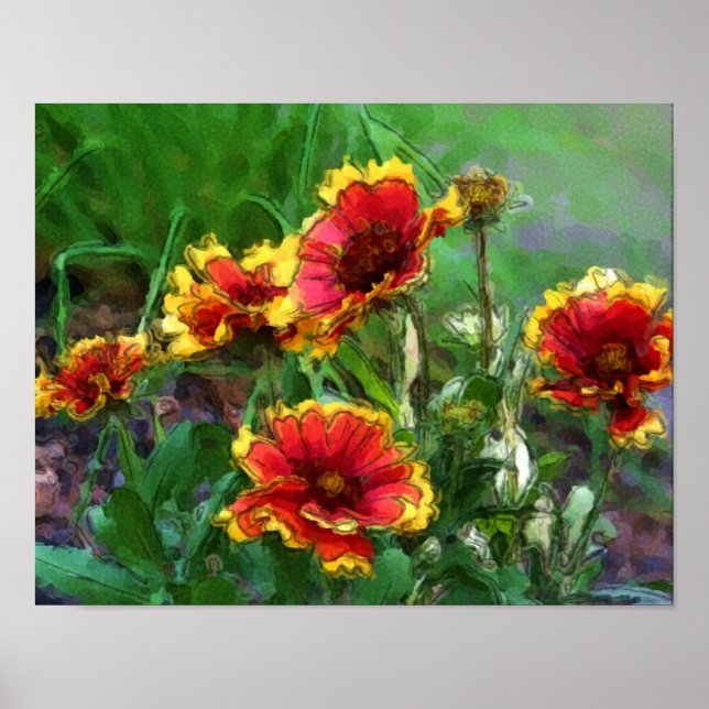 Pôster Margaridas Flor de Cobertor Aquarela (Frente)