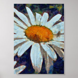 Poster Marguerite Daisy with Winged Insects Floral Art