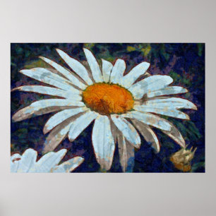 Poster Marguerite Daisy with Winged Insects Floral Art