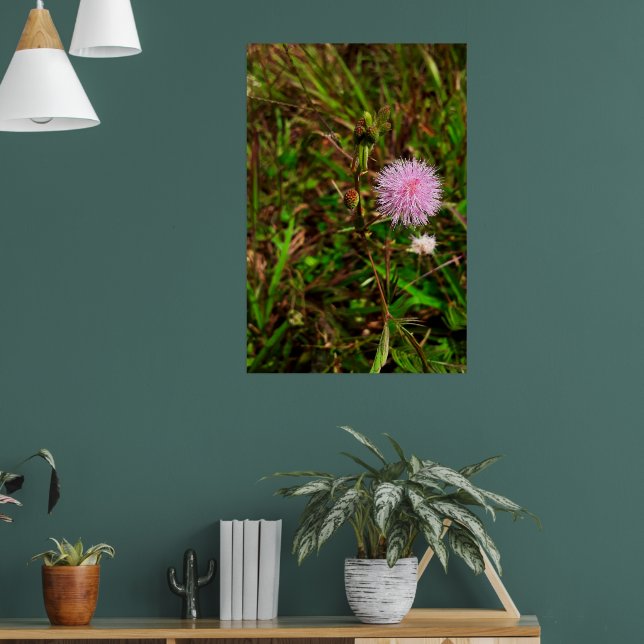 Poster Maria-fecha-a-porta (Sala de Estar 1)