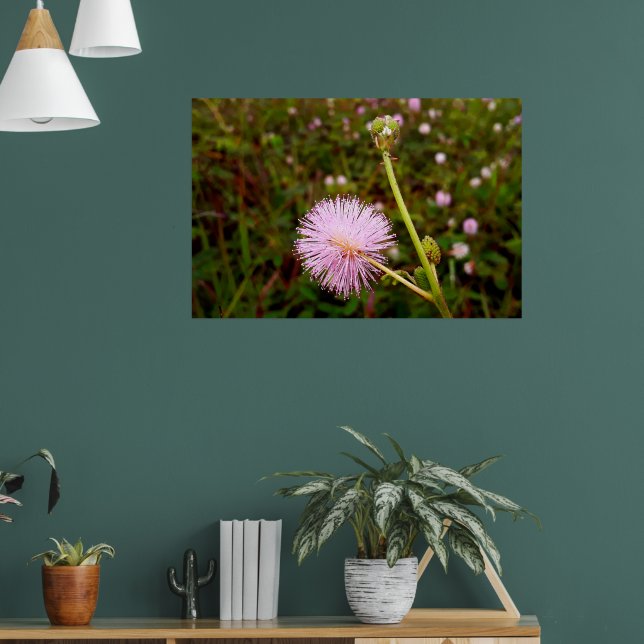 Poster Maria-fecha-a-porta 2 (Sala de Estar 1)