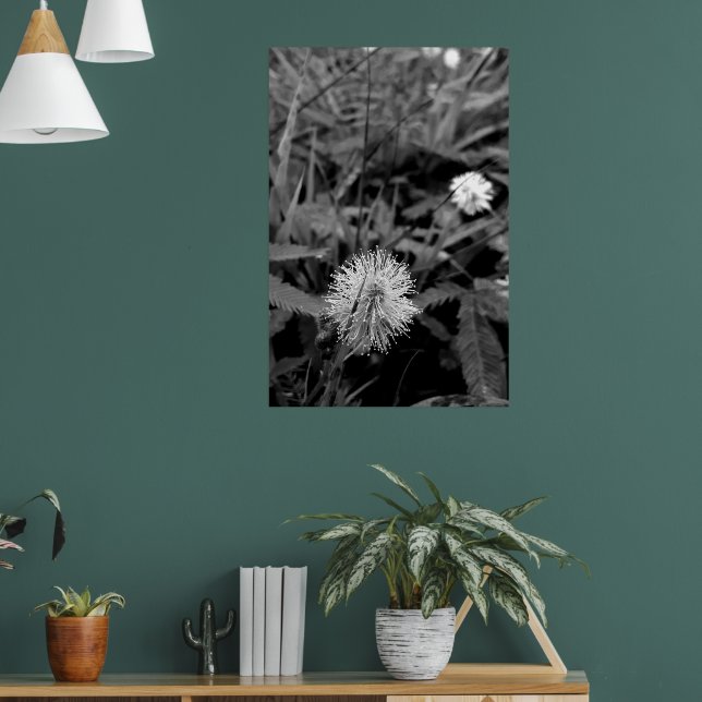 Poster Maria-fecha-a-porta CONTRASTE (Sala de Estar 1)