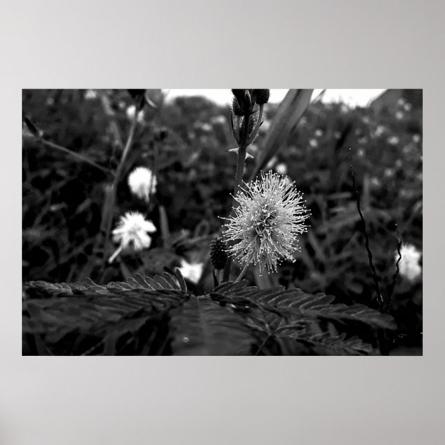 Poster Maria fecha a porta  - dark (Frente)