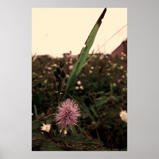 Poster Maria-fecha-a-porta  -FILTRO (Frente)