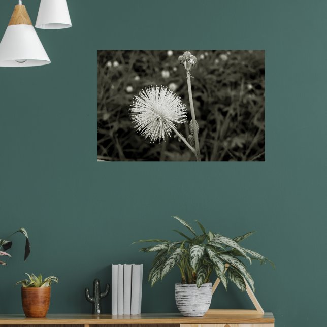 Poster Maria-fecha-a-porta - p&b (Sala de Estar 1)