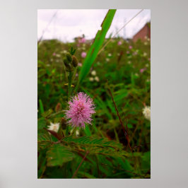 Poster Maria-fecha-a-porta - VERTICAL