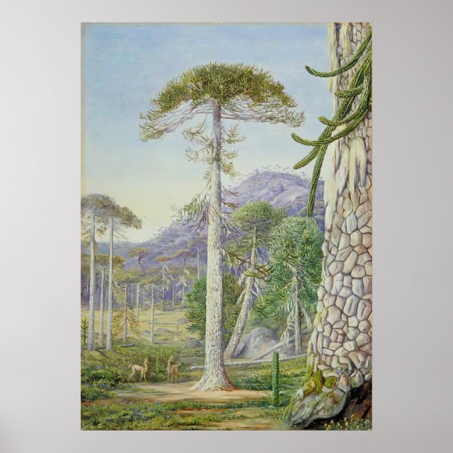 Poster Marianne North - Exotic Landscape II (Frente)