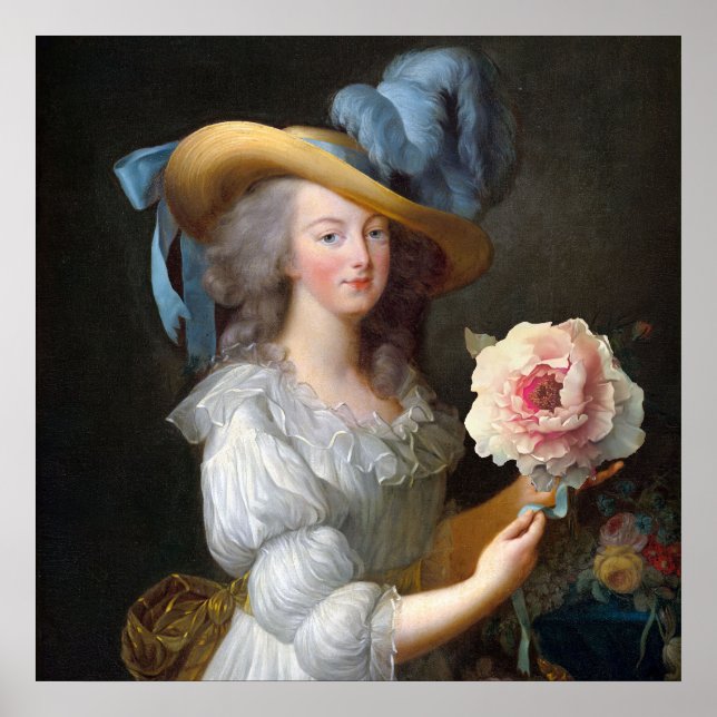 Poster Marie Antoinette com Flor Anêmona Rosa (Frente)