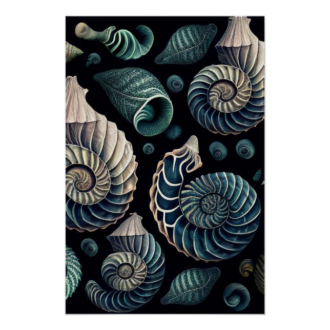 Pôster Marine Treasures (Frente)