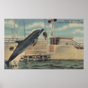 Poster Marineland, Florida - vista do Pudgy