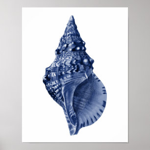 Poster Marinho Beach Decor Seashell Art
