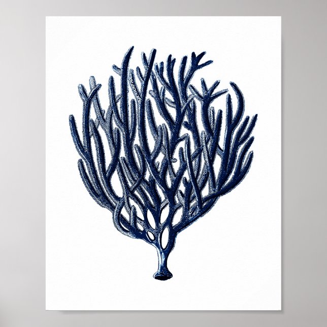 Poster Marinho Blue Sea Coral Beach Wall Decor (Frente)