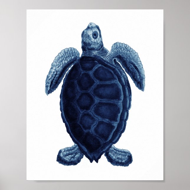 Poster Marinho Blue Sea Turtle Beach Bathroom Decore (Frente)