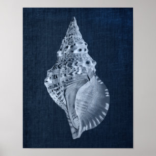 Poster Marinho Seashell Decor para Praia Bathroom ou Quar