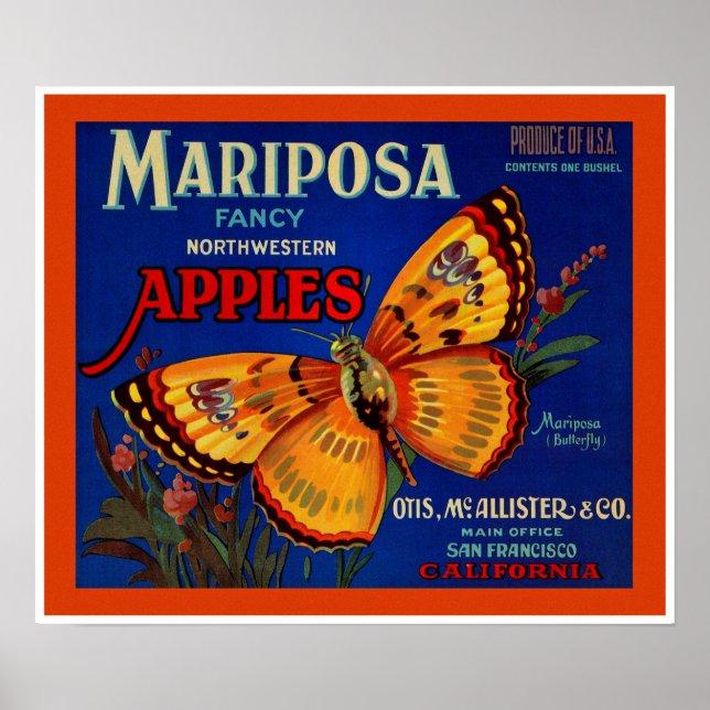 Poster Mariposa Apples (Frente)