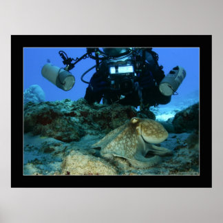 Pôster Mark e o Octopus