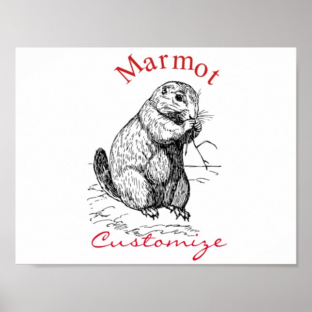Poster Marmot Marmot Thunder_Cove (Frente)