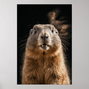 Poster Marmot Wild Animal Elegante Dramático Retrato de N