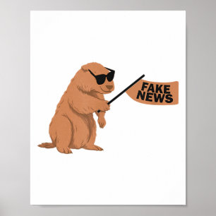 Poster Marmota Notícias Falsas Influenciador Marmota Mídi