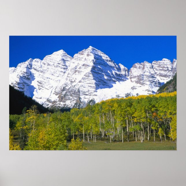 Pôster Maroon Bells com floresta de aspen do outono. (Frente)