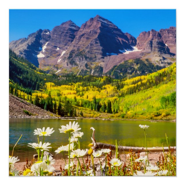 Pôster Maroon Bells no Parque Apsen, Colorado (Frente)