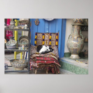 Poster Marrakesh Cat
