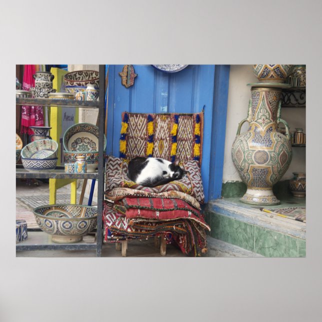 Poster Marrakesh Cat (Frente)