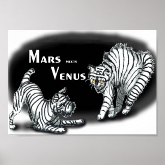 Poster Mars encontra Vênus