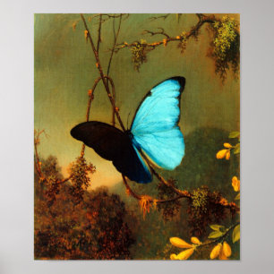 Pôster Martin Johnson Heade Blue Morpho Butterfly