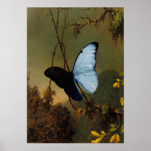 Poster Martin Johnson Heade - Borboleta Azul