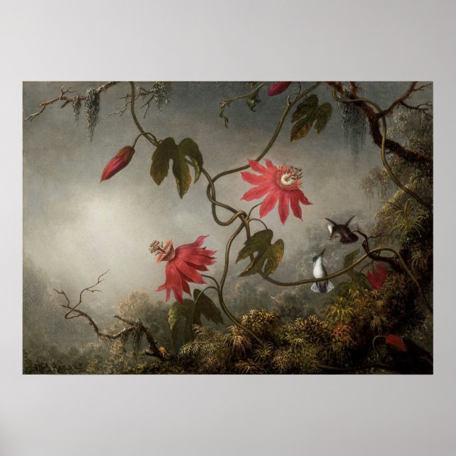 Poster Martin Johnson Heade - Flores de Paixão e Humming (Frente)