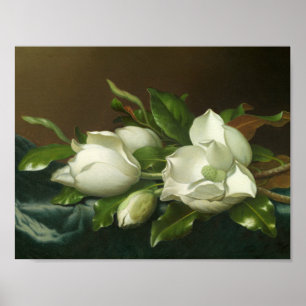 Poster Martin Johnson Heade - Magnolias ao Azul Claro