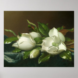 Poster Martin Johnson Heade - Magnolias em Azul Claro