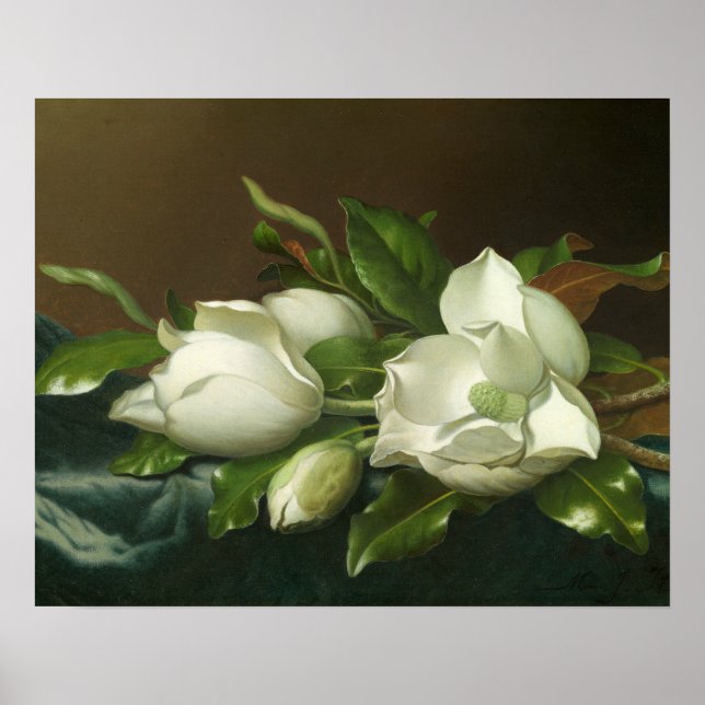 Poster Martin Johnson Heade - Magnolias em Azul Claro (Frente)