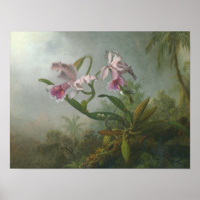 Pôster Martin Johnson Heade_Orchid-hummingbird (Frente)