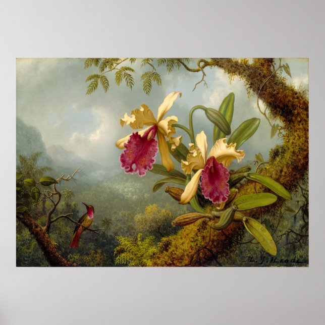 Poster Martin Johnson Heade - Orchids and hummingbird (Frente)