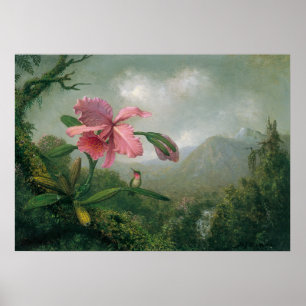 Poster Martin Johnson Heade - Orquídea com Dois Hummingbi