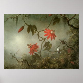 Pôster Martin Johnson Heade Passion Flowers