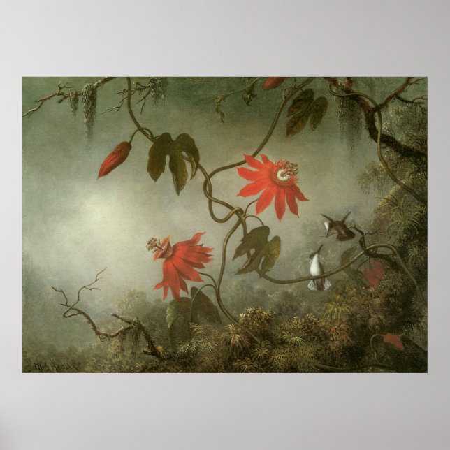 Pôster Martin Johnson Heade Passion Flowers (Frente)