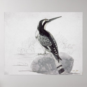 Pôster Martinho pescatore preto e branco