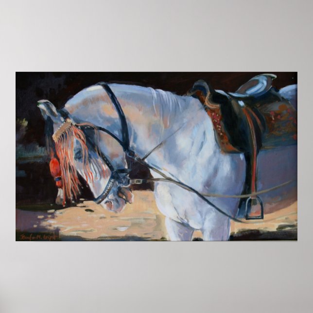 Poster Marwari Horse Rajasthan 2010 (Frente)