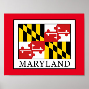 Pôster Maryland
