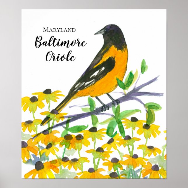 Poster Maryland Baltimore Oriole Black Eyed Susans (Frente)