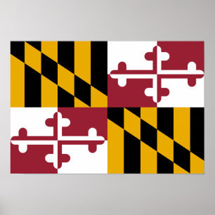 Pôster Maryland Flag